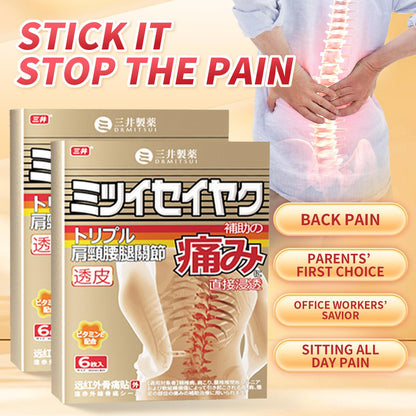 DRMITSUI Pain Relieving Lumbar Patch for Back